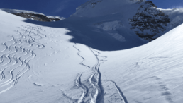 Powder Valle d'Aosta - www.heli-ski.it